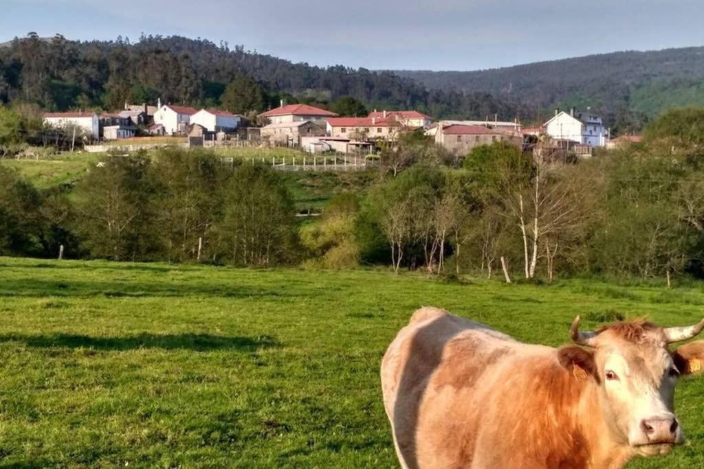 Casa Da Labaceira Villa Santo Tomé Екстериор снимка